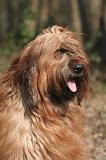 BRIARD 218